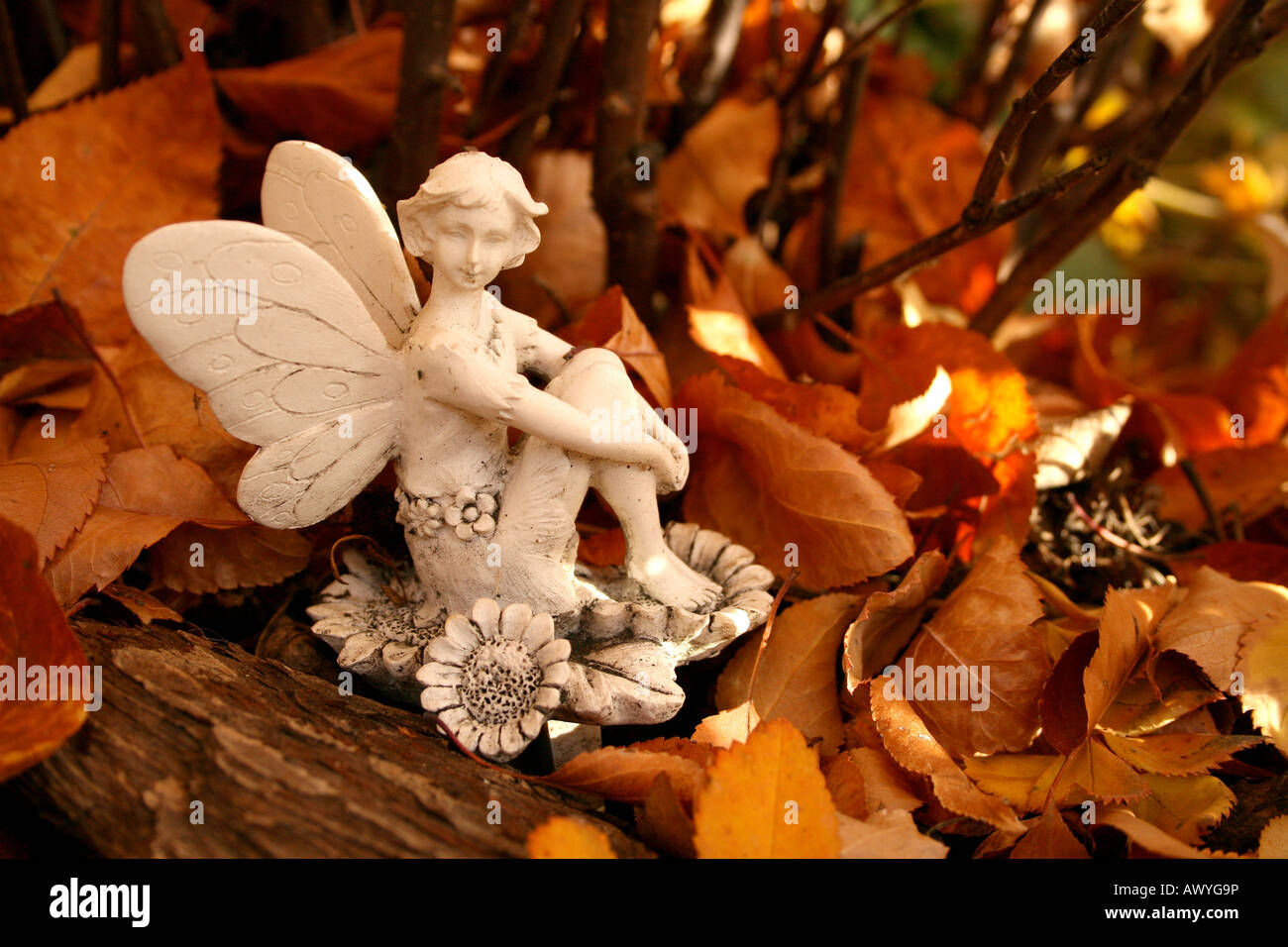 Herbst-Garten-Fee Stockfoto