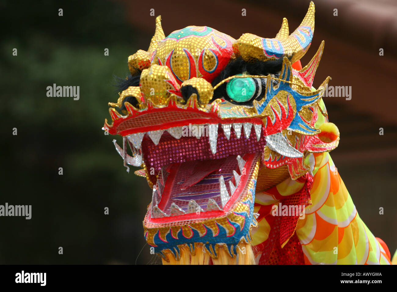 Tanzende Drachen im chinesischen Neujahrsparade Stockfoto