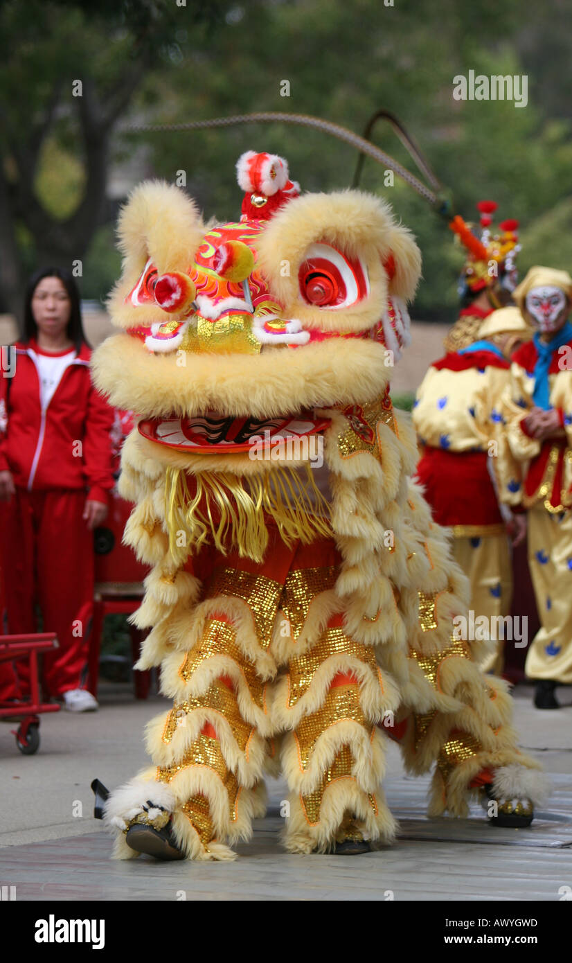 Löwe, Chinesische Neujahrsparade Mid-Autumn Festival Tanz. Stockfoto