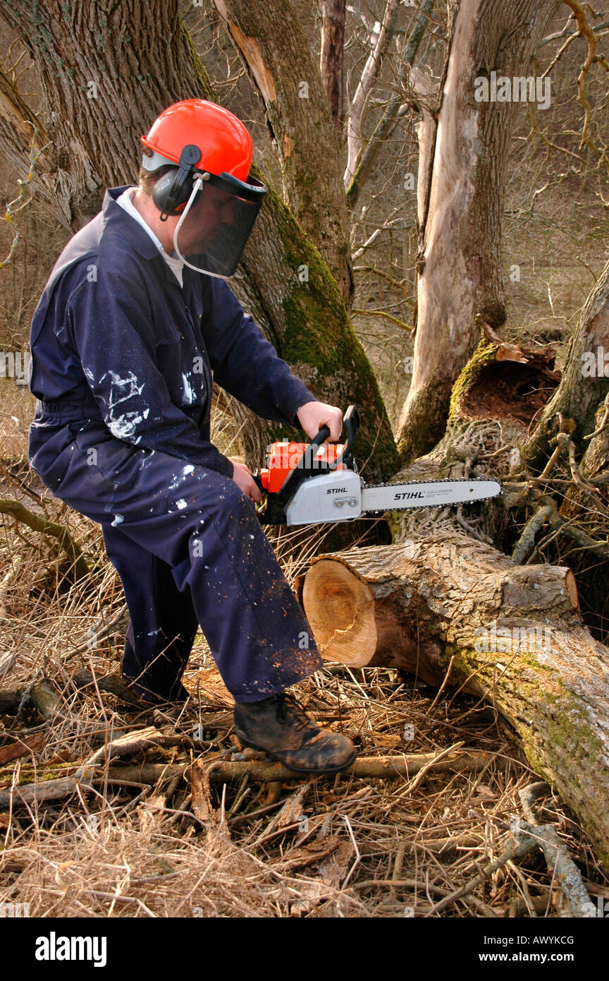 Ein Mann nutzt eine Motorsäge an einem gefallenen Baumstamm Stockfoto