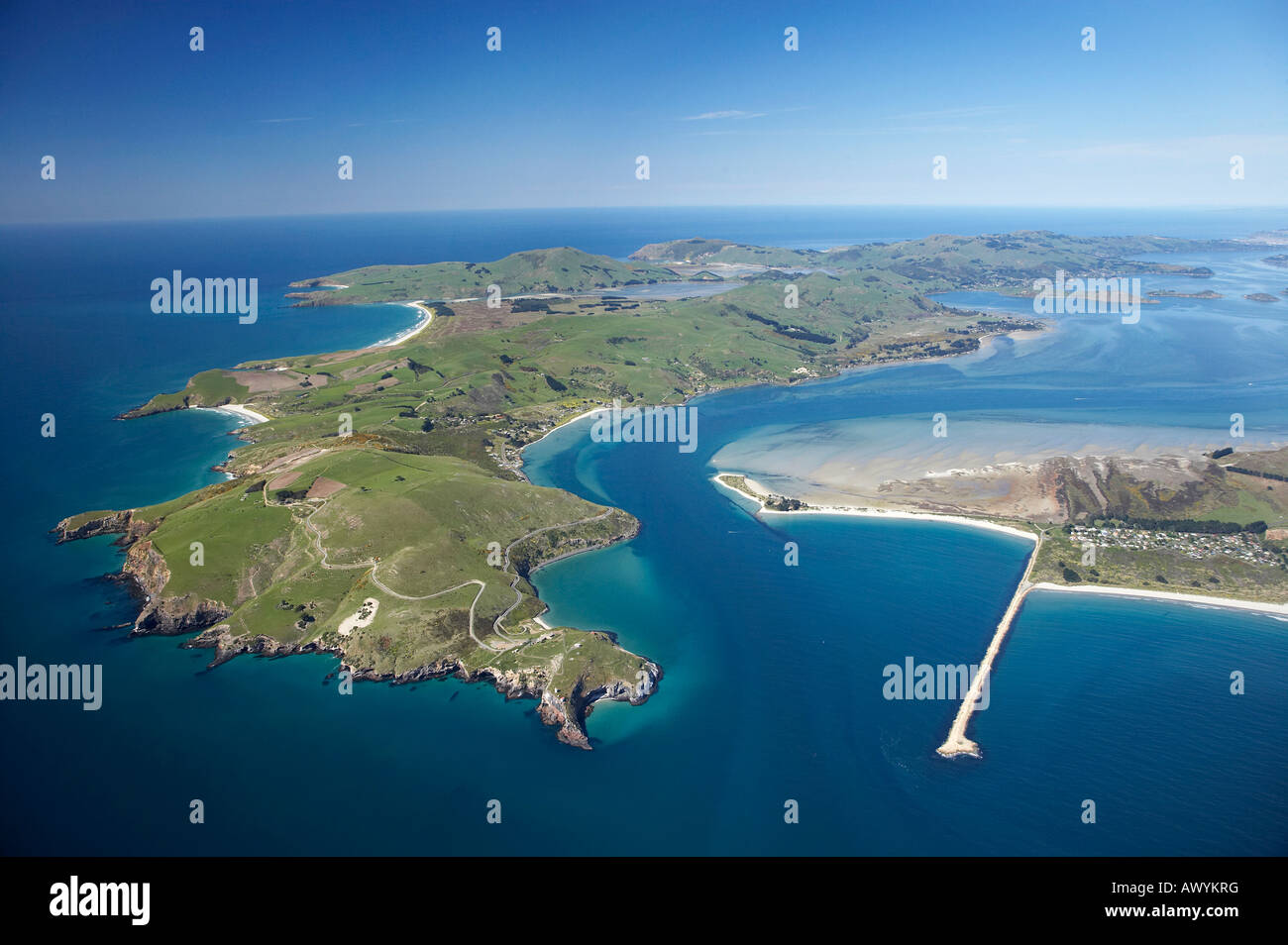 Taiaroa Head Otago Halbinsel Otago Hafeneinfahrt und Aramoana Dunedin Neuseeland Südinsel Antenne Stockfoto