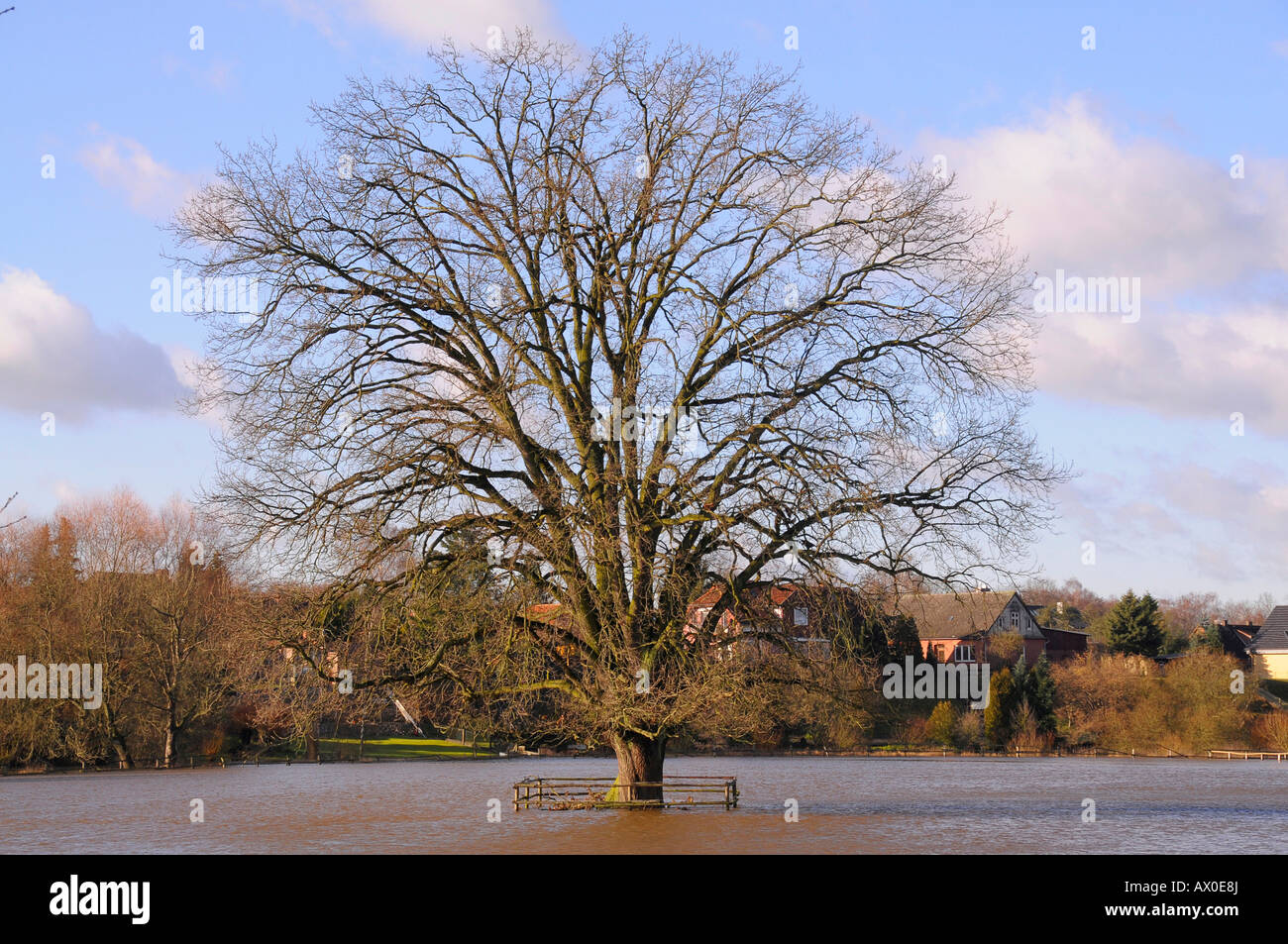 Ilmenau River bei Bienenbuettel überflutet am 1. Januar 2008, Lüneburger Heide, Niedersachsen, Norddeutschland, Deutschland, Europa Stockfoto