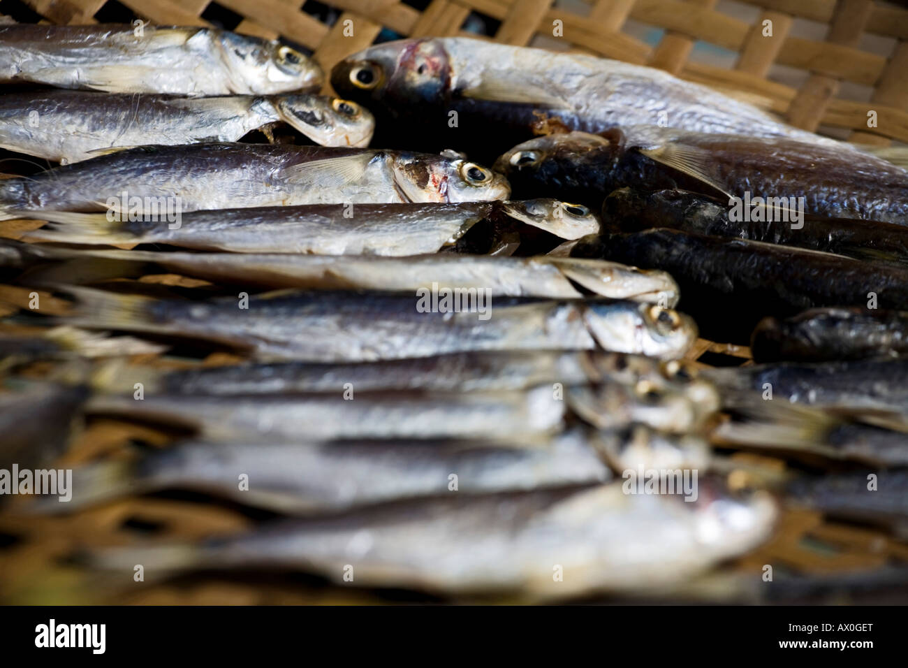 China, Hong Kong, Lantau Island, Tai O, Fischmarkt, Fisch trocknen Stockfoto