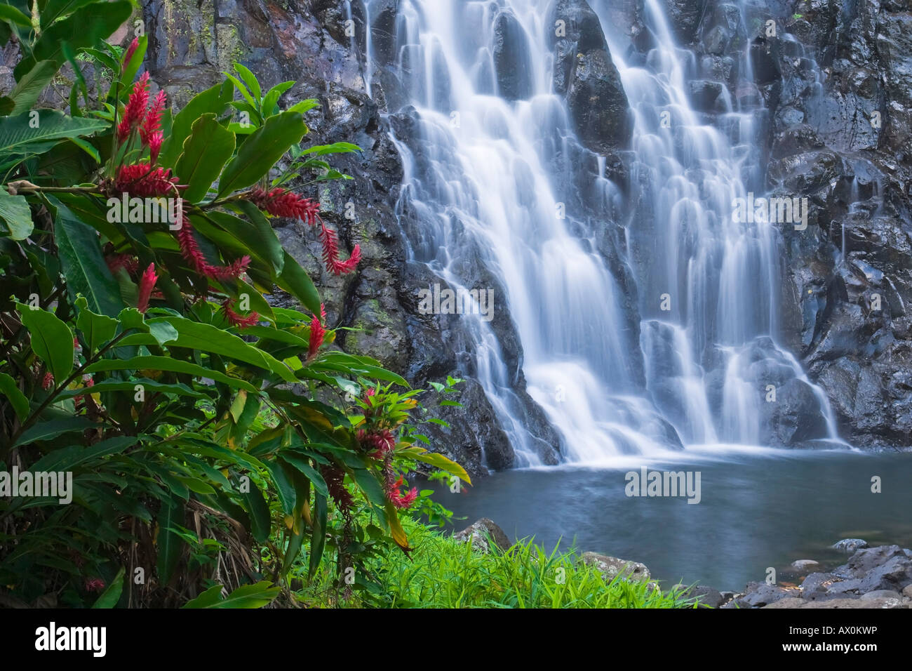 Kepirohi Wasserfall, Pohnpei, Föderierte Staaten von Mikronesien Stockfoto