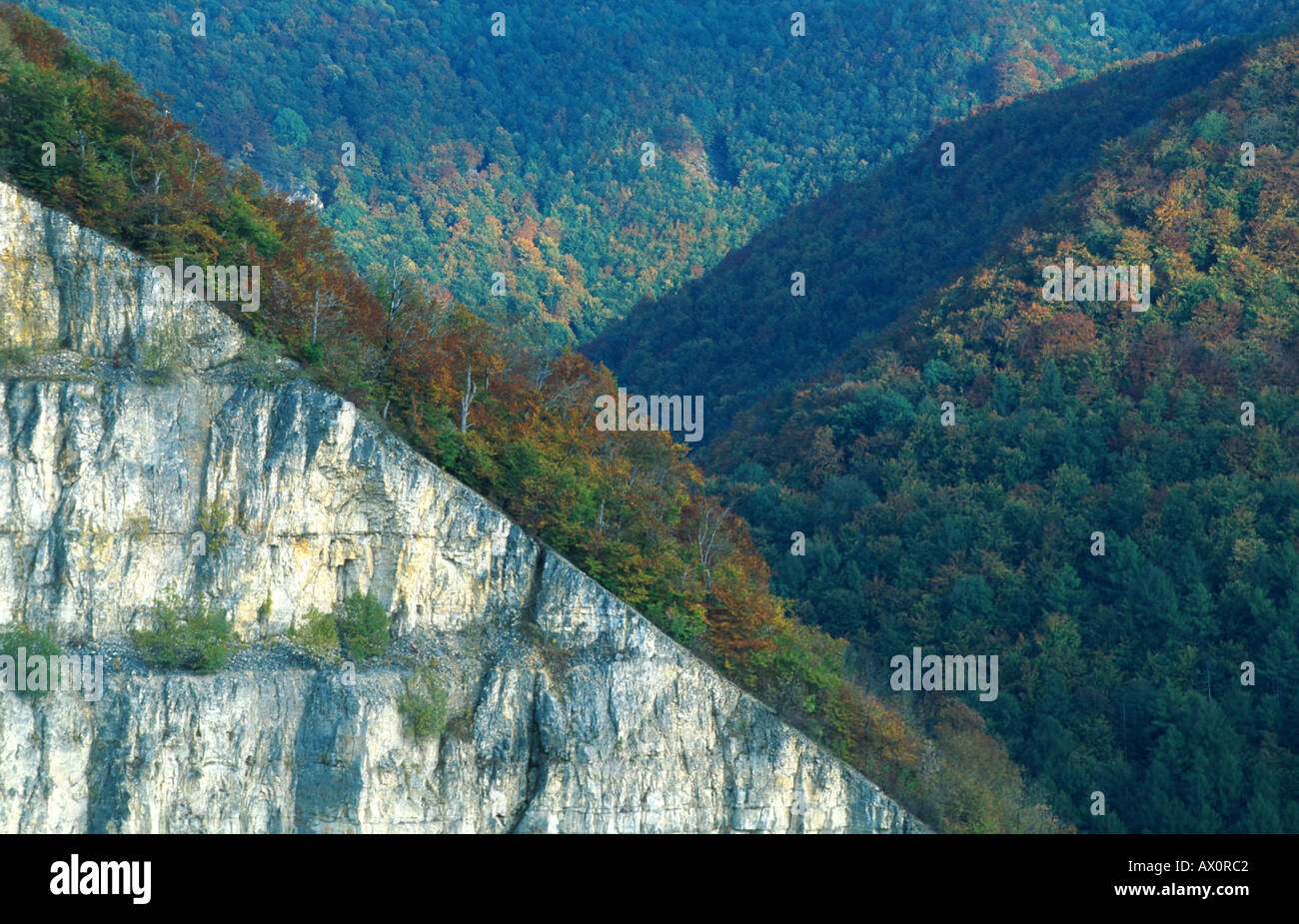 ehemaliger Steinbruch in der schwäbischen Alp, Deutschland, sch.ools.it Alb Stockfoto