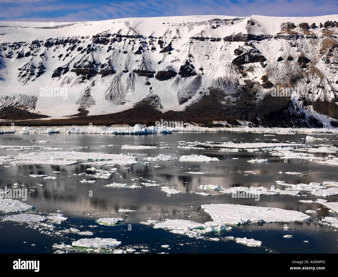 Adelie Penguin (Pygoscelis Adeliae) Kolonie auf Franklin Island, Antarktis Stockfoto