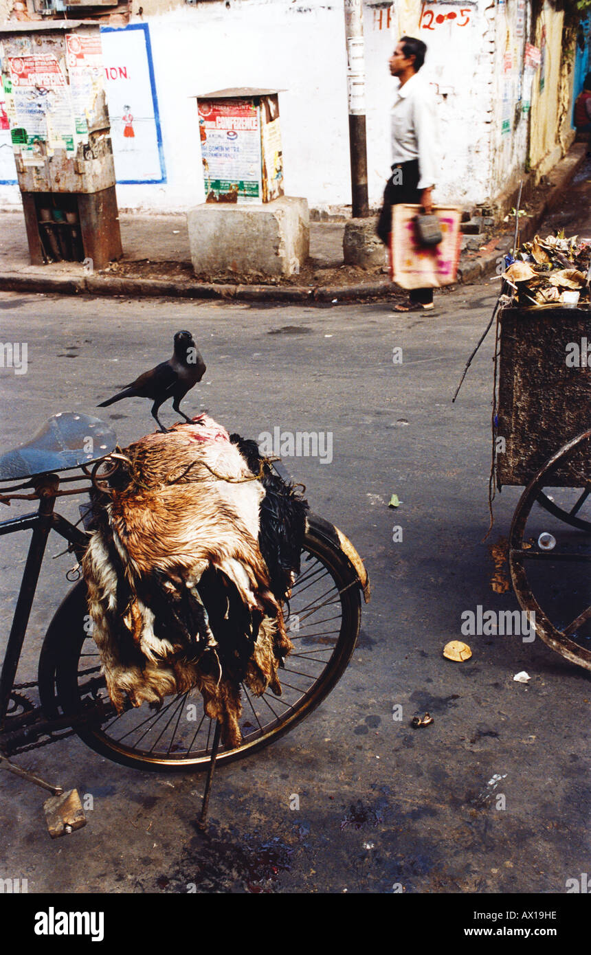 Ein Bündel aus Häuten auf einem Fahrrad, Kolkata, Indien Stockfoto