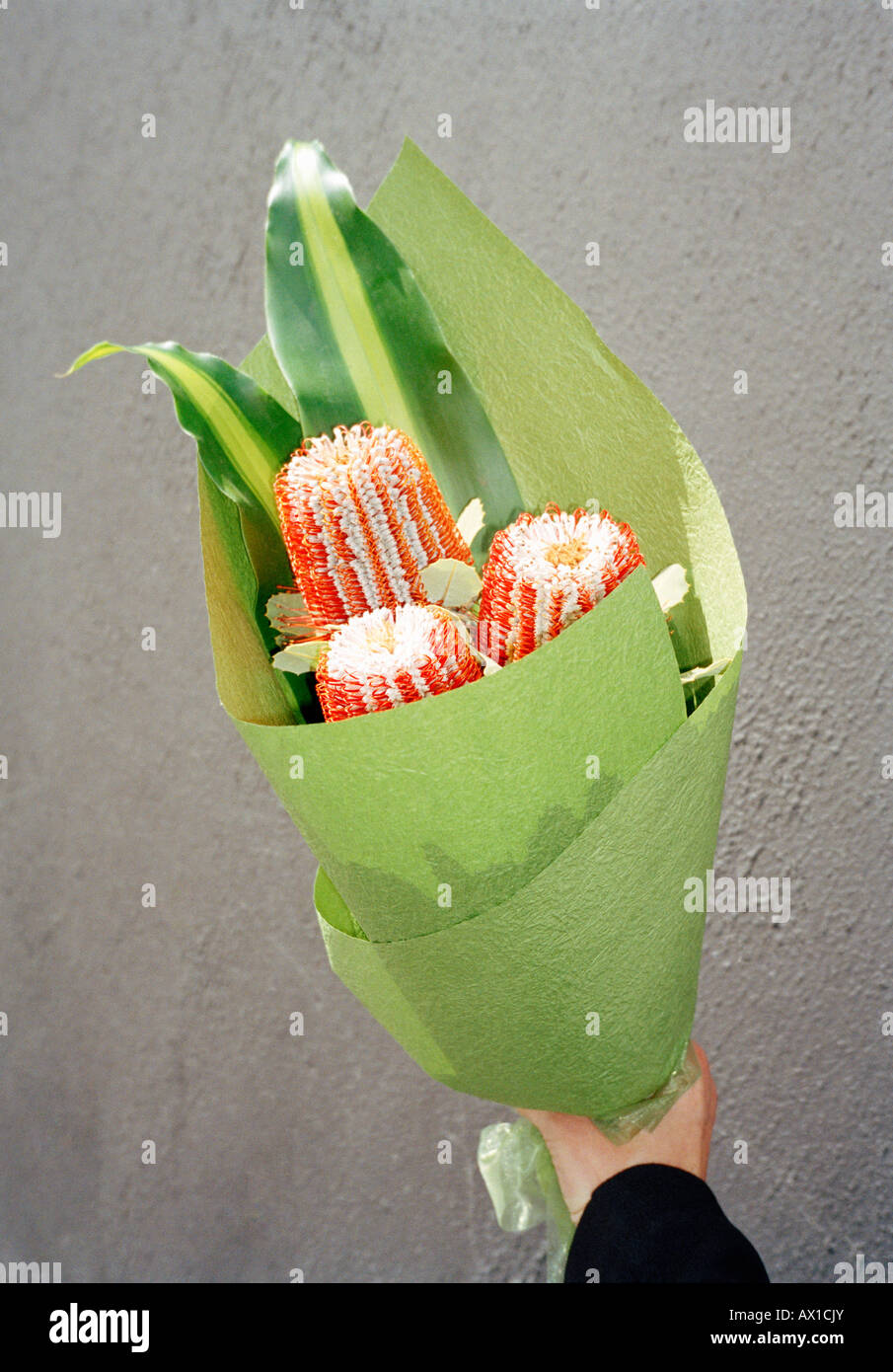 Eine Hand mit Blumenstrauß Stockfoto