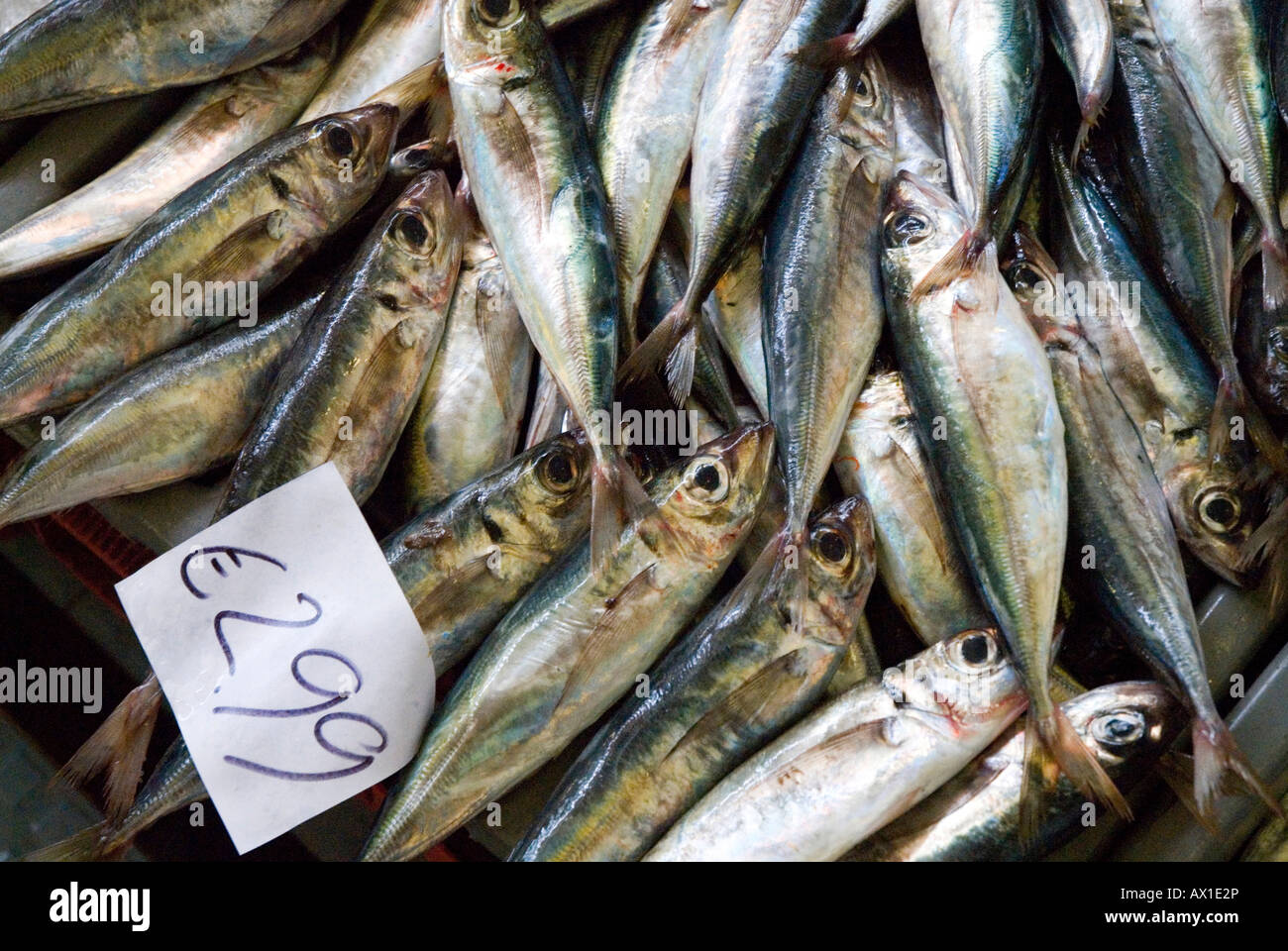 Fischverkäufer auf einer Markthalle in Funchal, Madeira, Portugal, Europa Stockfoto