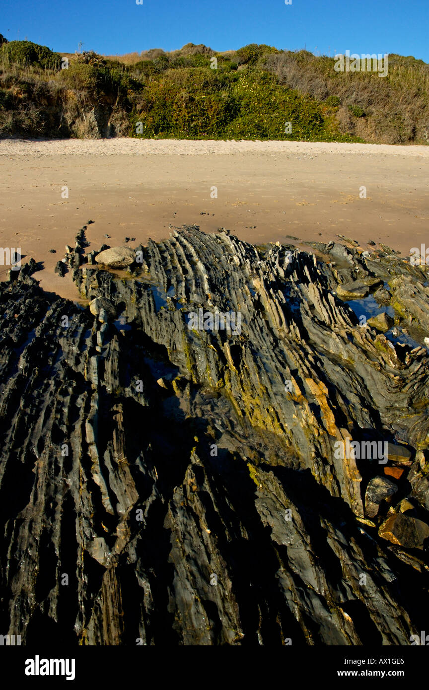 Küste Felsen am Strand von Playa de Los Lances Tarifa, Andalusien, Spanien. Stockfoto