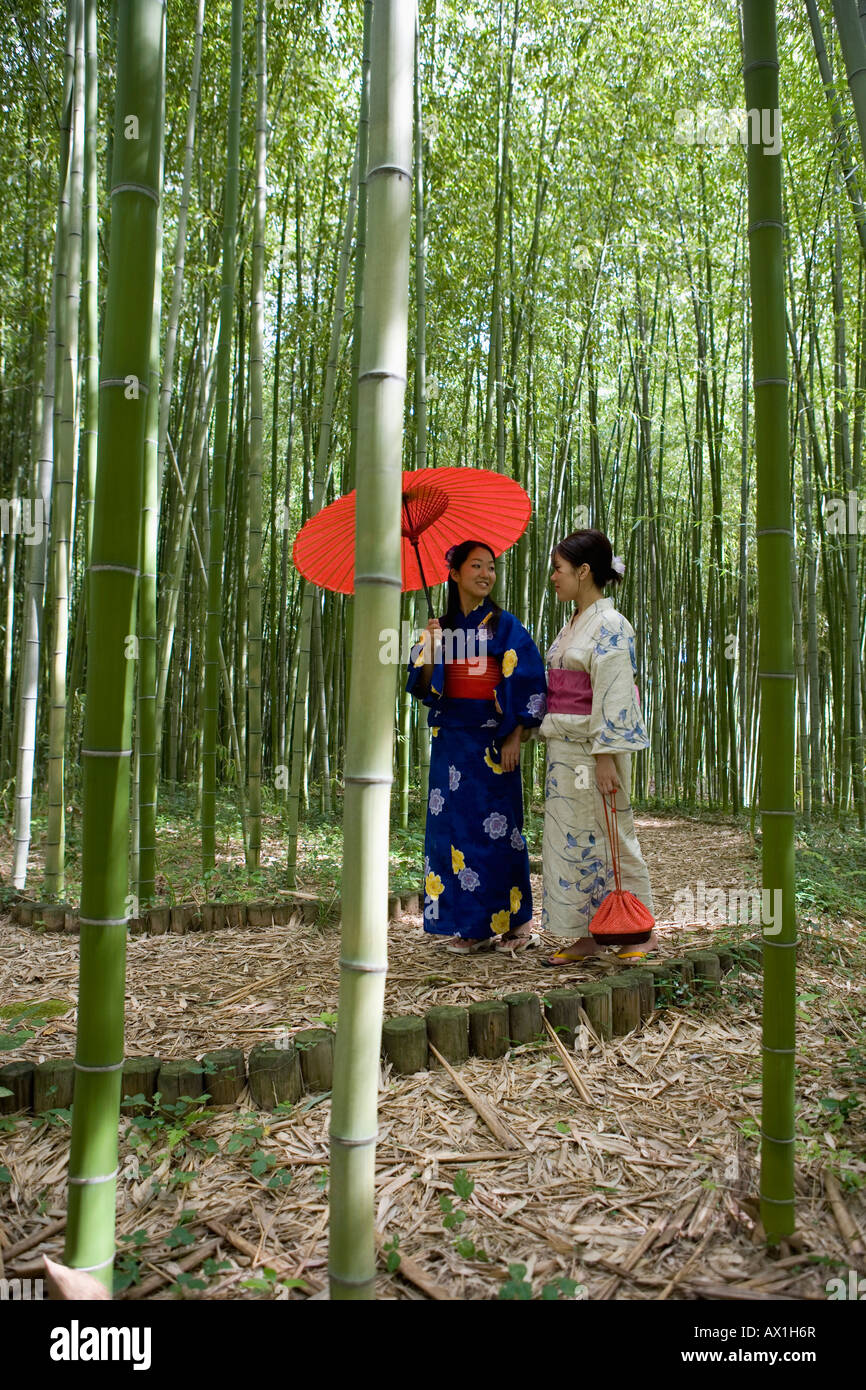 Zwei Frau tragen Kimonos zu Fuß durch einen Bambushain Stockfoto