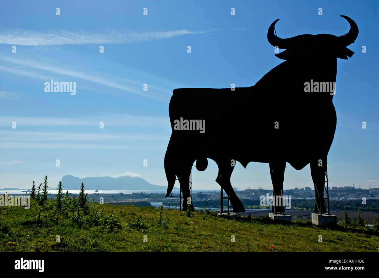 Osborne-Stier, dominieren die Landschaft, Spanien. Stockfoto