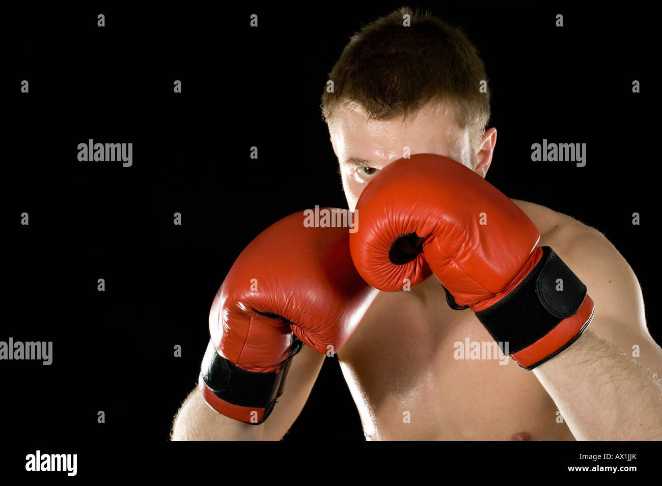 Ein boxer Stockfoto