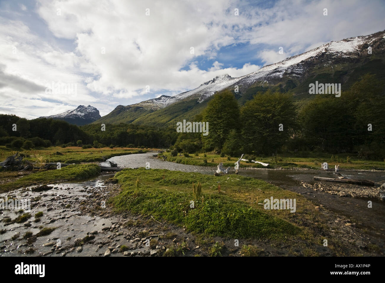 Flusslandschaft im Nationalpark Tierra Del Fuego, Argentinien, Südamerika Stockfoto