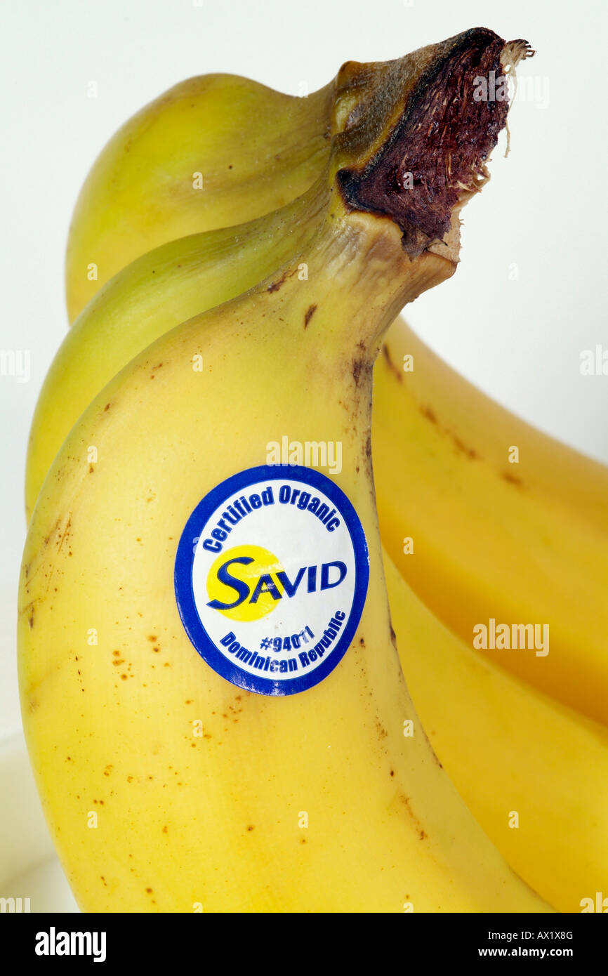 Banane mit Produktaufkleber Fairtrade Banana Label Dominikanische Republik Biozertifikat Stockfoto