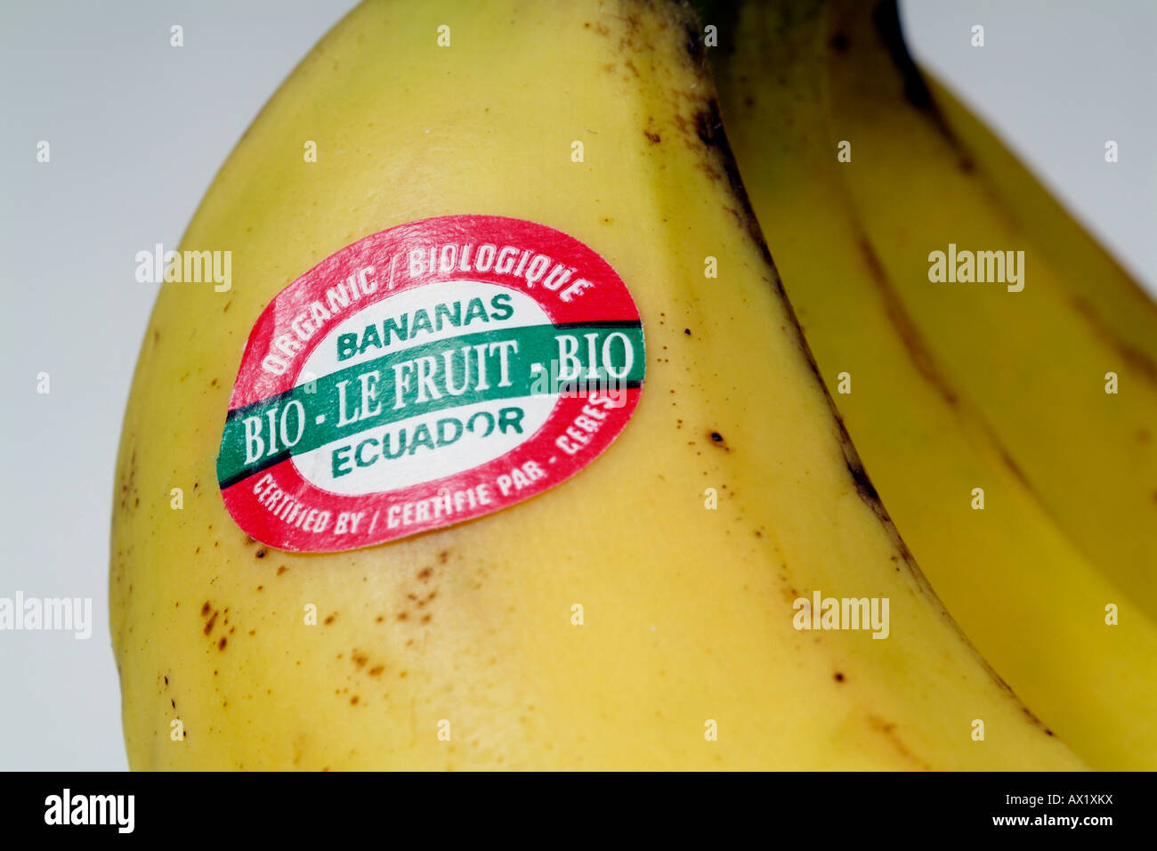 Banane mit Produktaufkleber Fairtrade Banana Label Bio Bio Ecuador-Zertifizierung Stockfoto