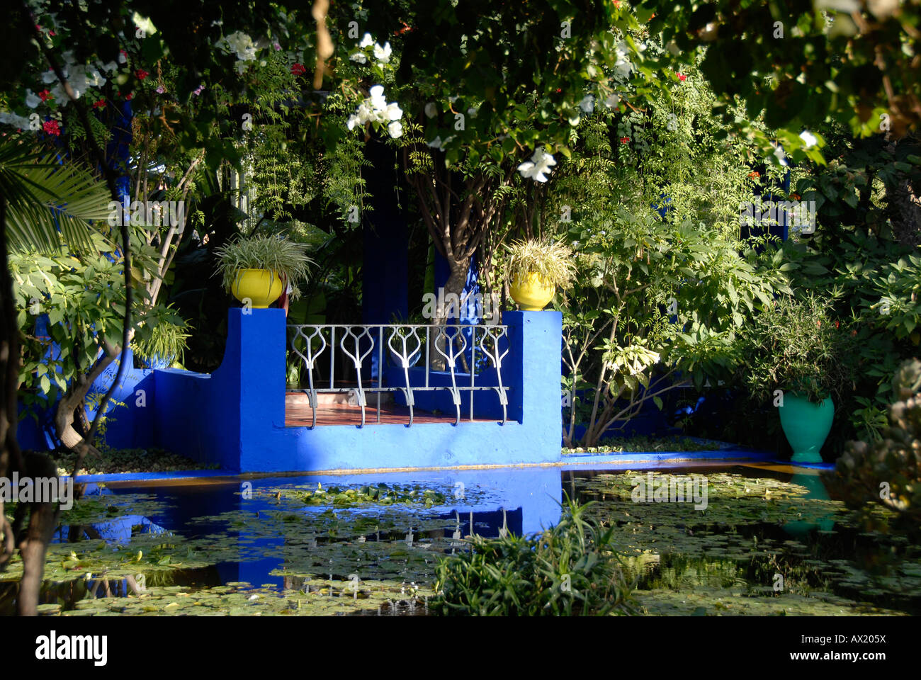 Blaue Terrasse am Teich versteckt in grünen Pflanzen im Garten Jardin Majorelle Marrakech in Marokko Stockfoto