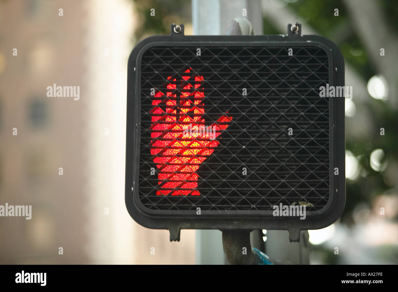 Rot Don t Cross Zebrastreifen Zeichen Uid 1430334 Stockfoto