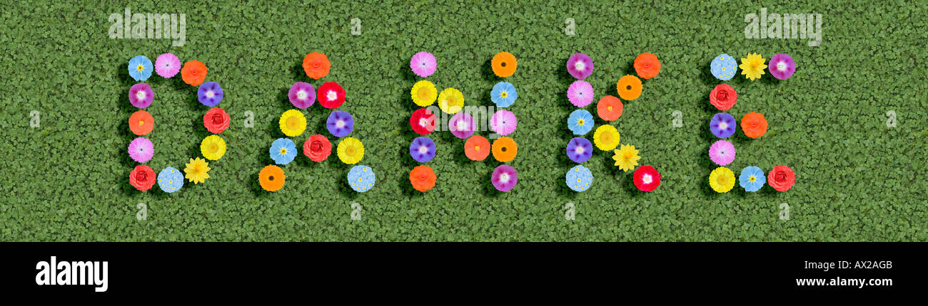 deutsche Wort Danke bedeutet danke geschrieben mit verschiedenen bunten Blumen Stockfoto
