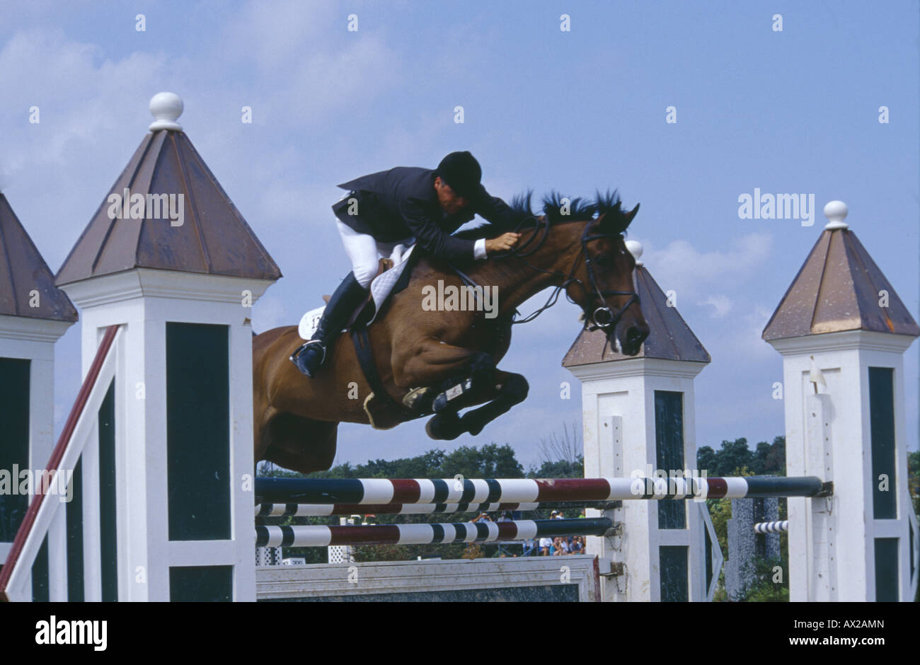 PFERDE SPRINGEN WETTBEWERB ILLINOIS Stockfoto