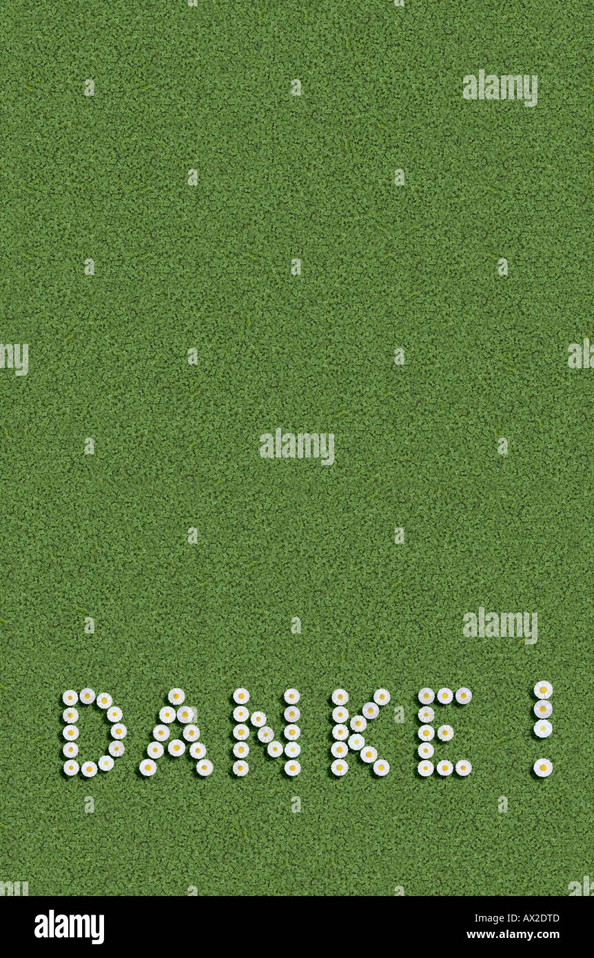 Danke in deutscher Sprache geschrieben mit Blumen Stockfoto