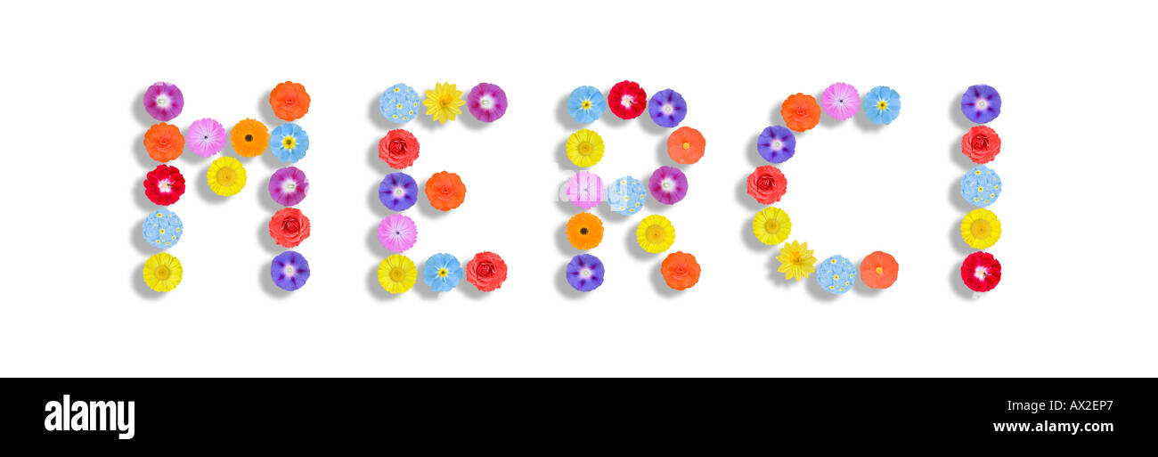 Merci danke danke Sie in Sprache geschrieben mit Blumen französischer Stockfoto