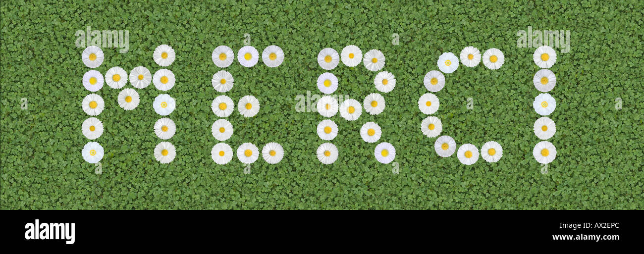 Merci danke danke Sie in Sprache geschrieben mit Blumen französischer Stockfoto