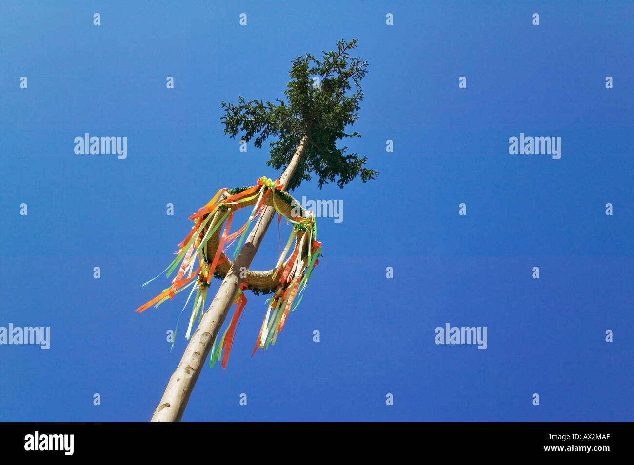 Viel Glück-Kranz auf Baum Wien Österreich Stockfoto