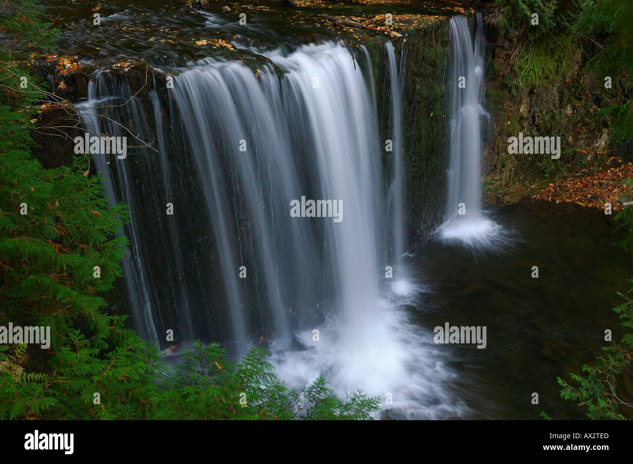 Hoggs fällt auf den Boyne Fluss Niagara Escarpment in der Herbst-Seite anzeigen Ontario Kanada Stockfoto