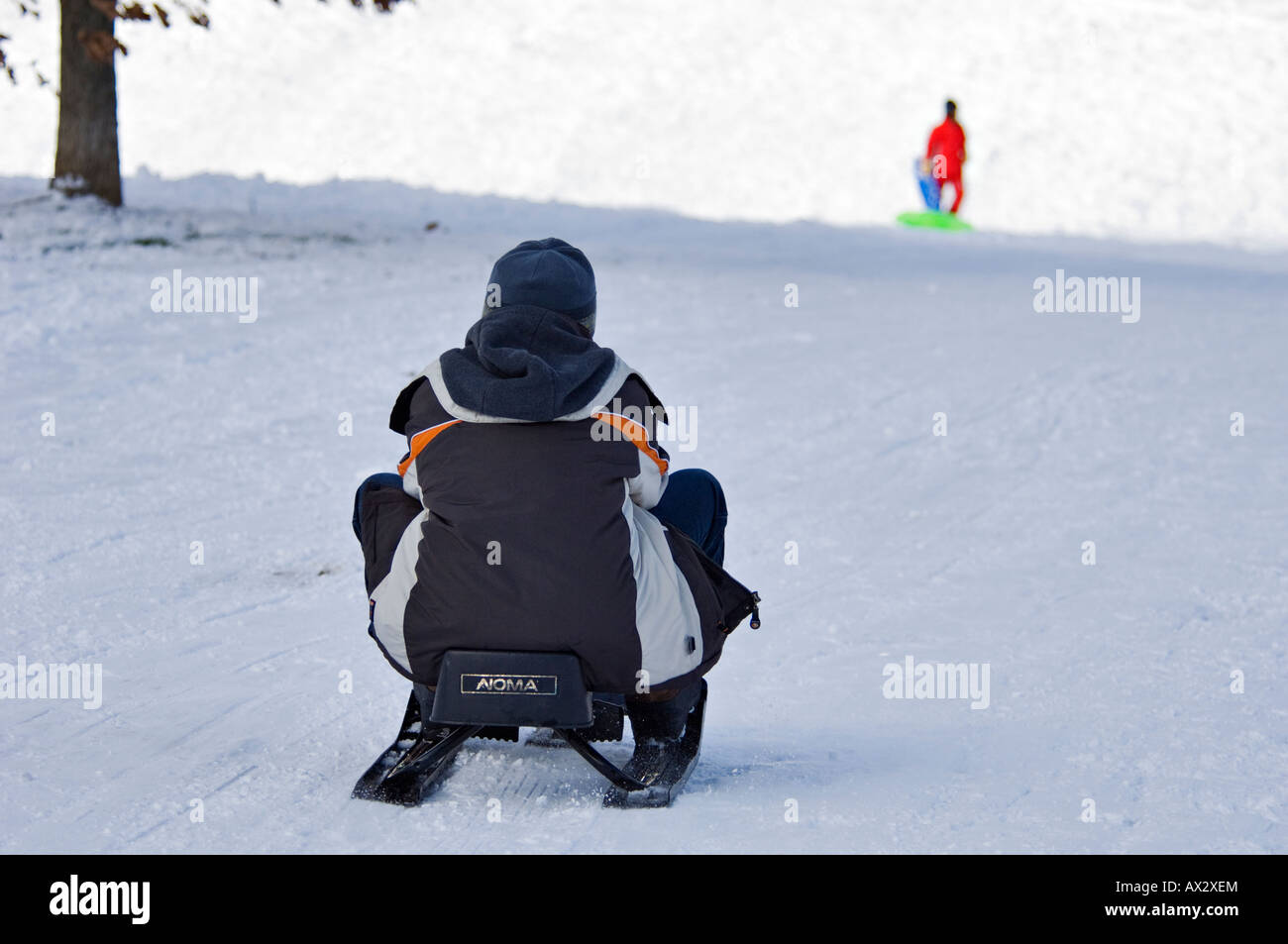 Teen Reiten Schlitten hinunter Schnee bedeckt Hill in Cherokee Park Louisville Kentucky Stockfoto