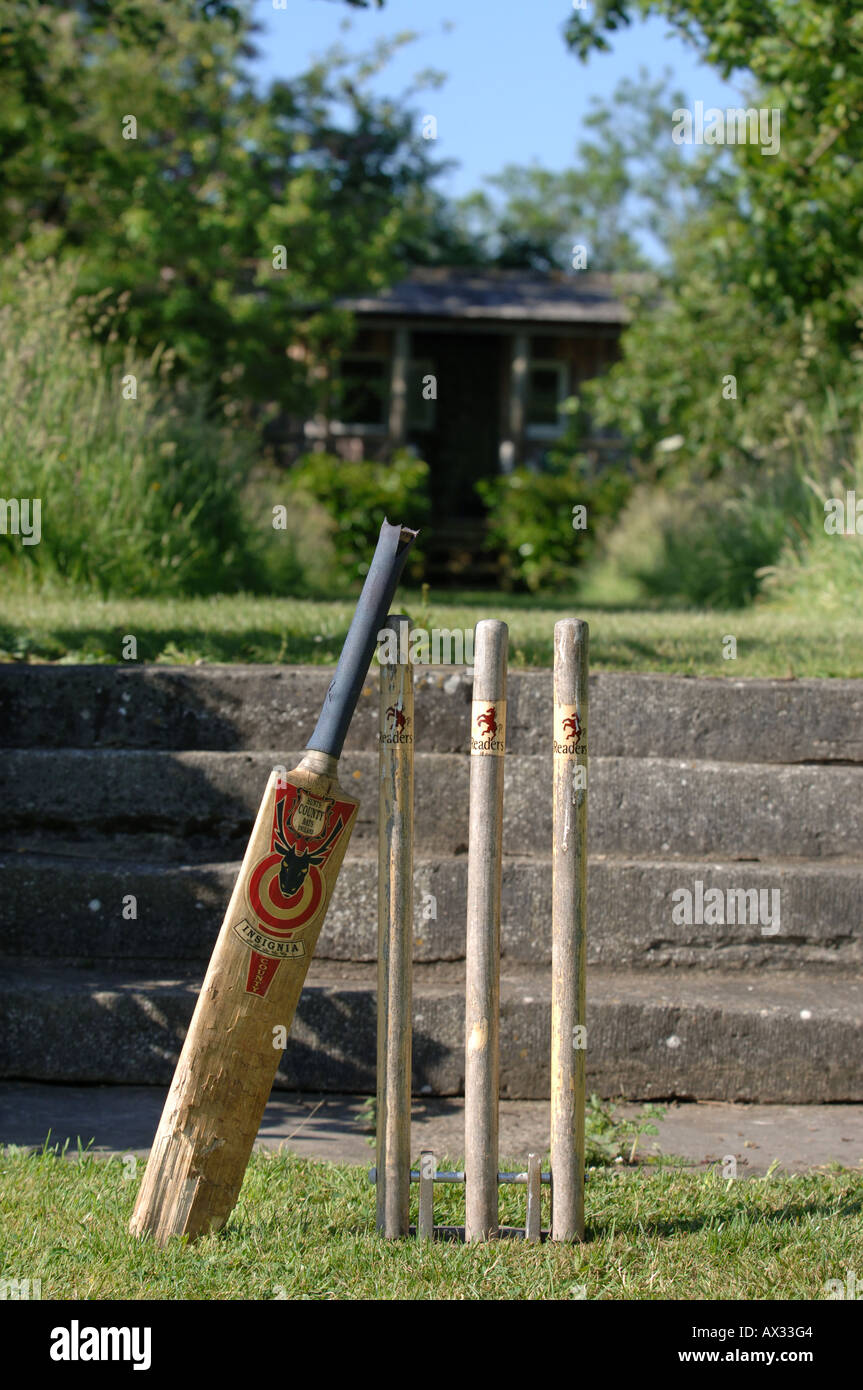 EINE REIHE VON BAUMSTÜMPFEN UND KRICKETSCHLÄGER IM GARTEN AM GUTSHOF SOMERSET VOM GARTEN DESIGNER SIMON JOHNSON UK Stockfoto