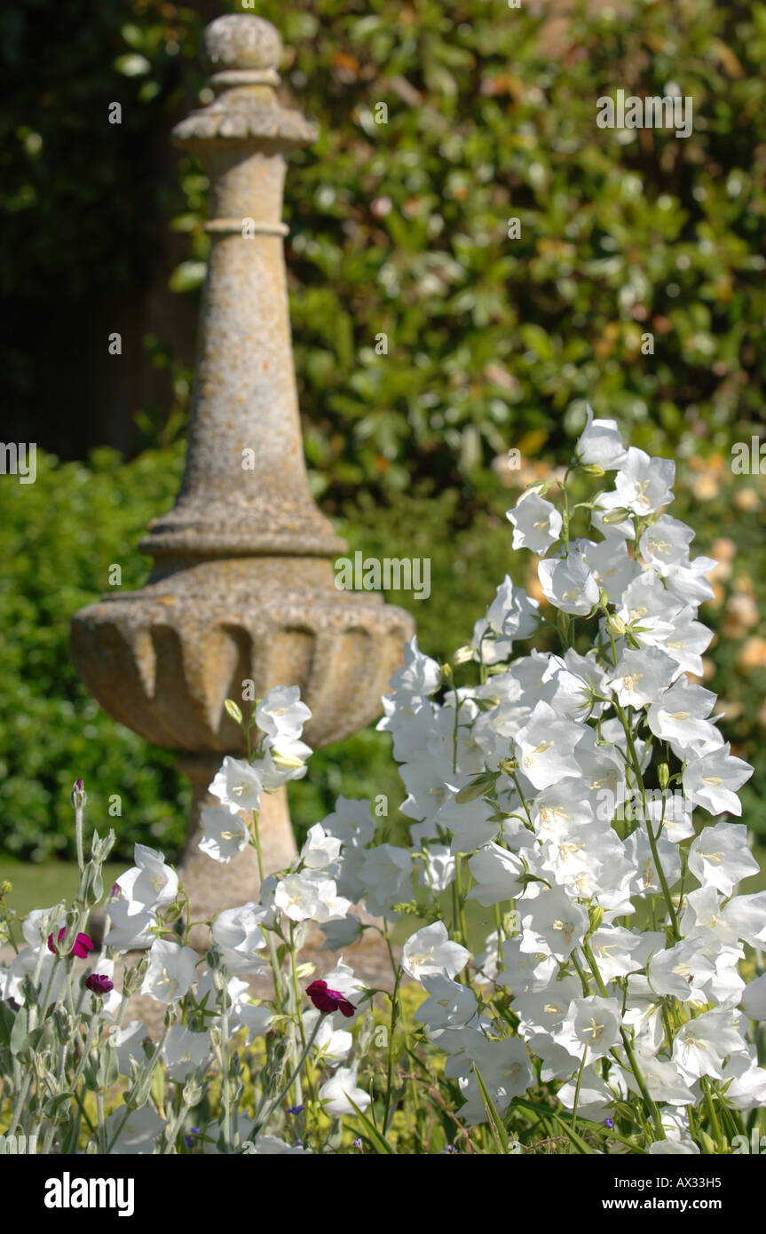 Weissen Campanula Durch Einen Stein Saulen Im Garten Am Manor Farm