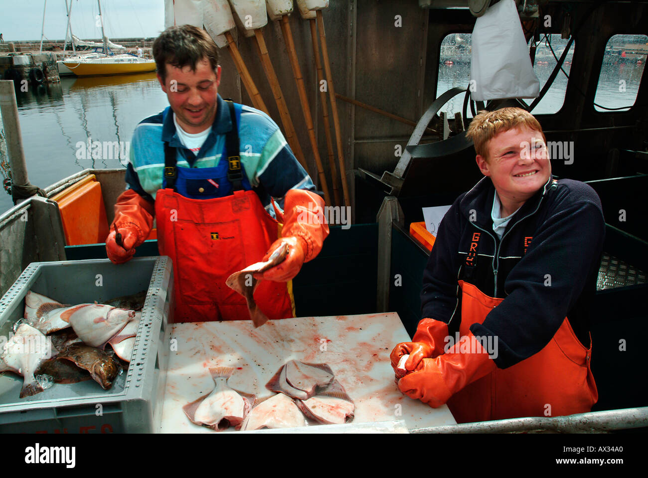 Berufsfischer Reinigung Flunder Svaneke Insel Bornholm Dänemark Ostsee Europa Stockfoto