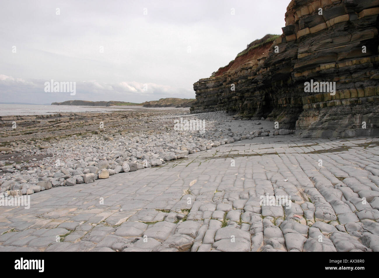 Eine geologische SSSI am Kilve Beach in North Somerset mit Kalkstein-Plattformen Stockfoto