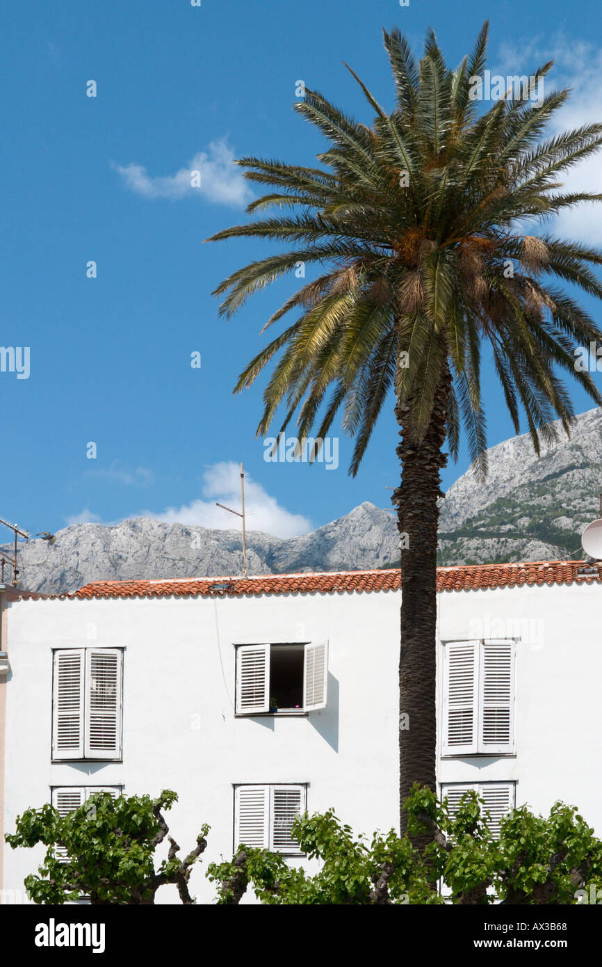 Haus und Palme, Makarska, Makarska Riviera, Kroatien Stockfoto