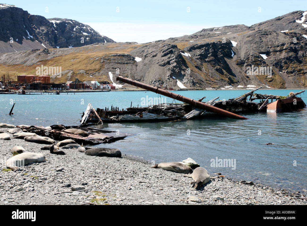 Zerstörten Walfangschiff am alten Hafen in Walfang auf Insel Südgeorgien, nahe der Antarktis Stockfoto