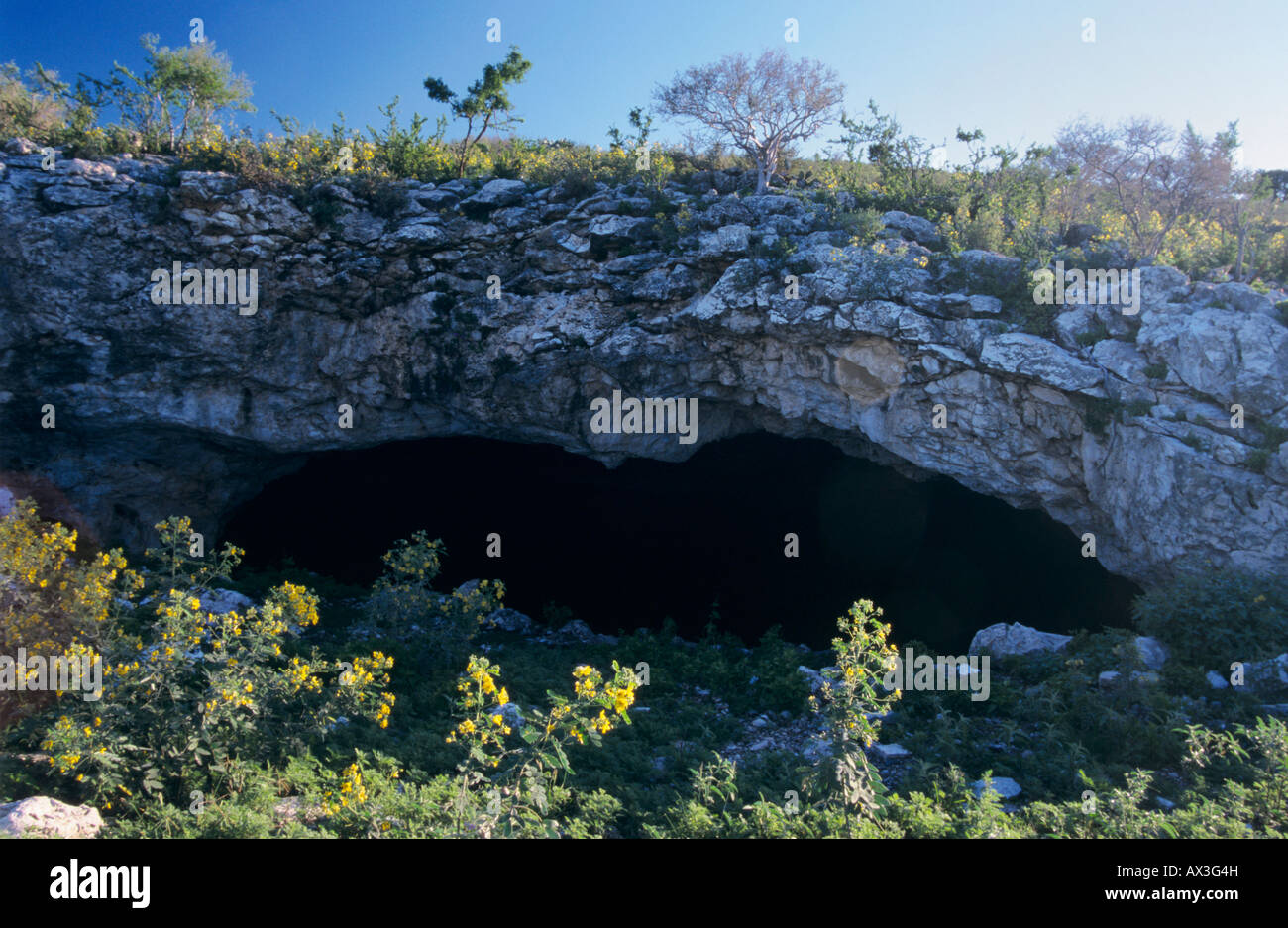 Bracken Cave weltweit größte Fledermaus Kolonie San Antonio Texas USA Stockfoto