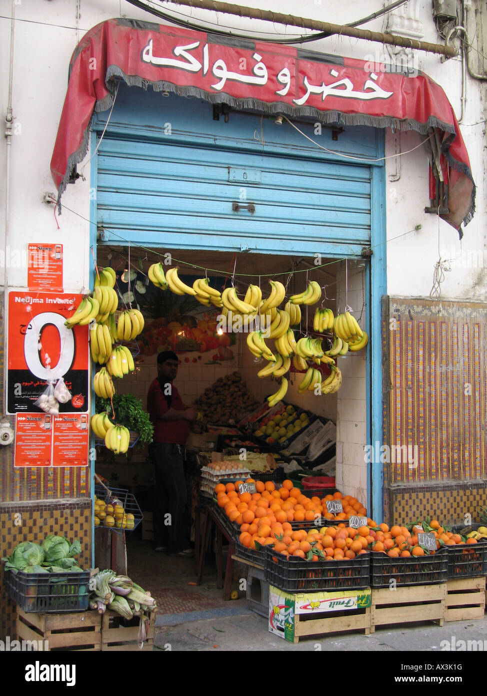 Heimisches Obst Shop, Algier, Algerien Stockfoto