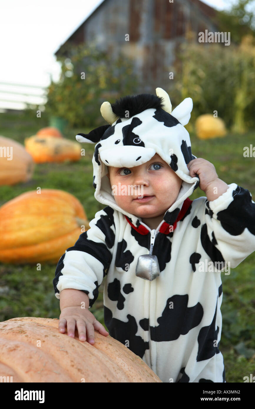 Kleiner Junge in Kuh-Kostüm Stockfoto