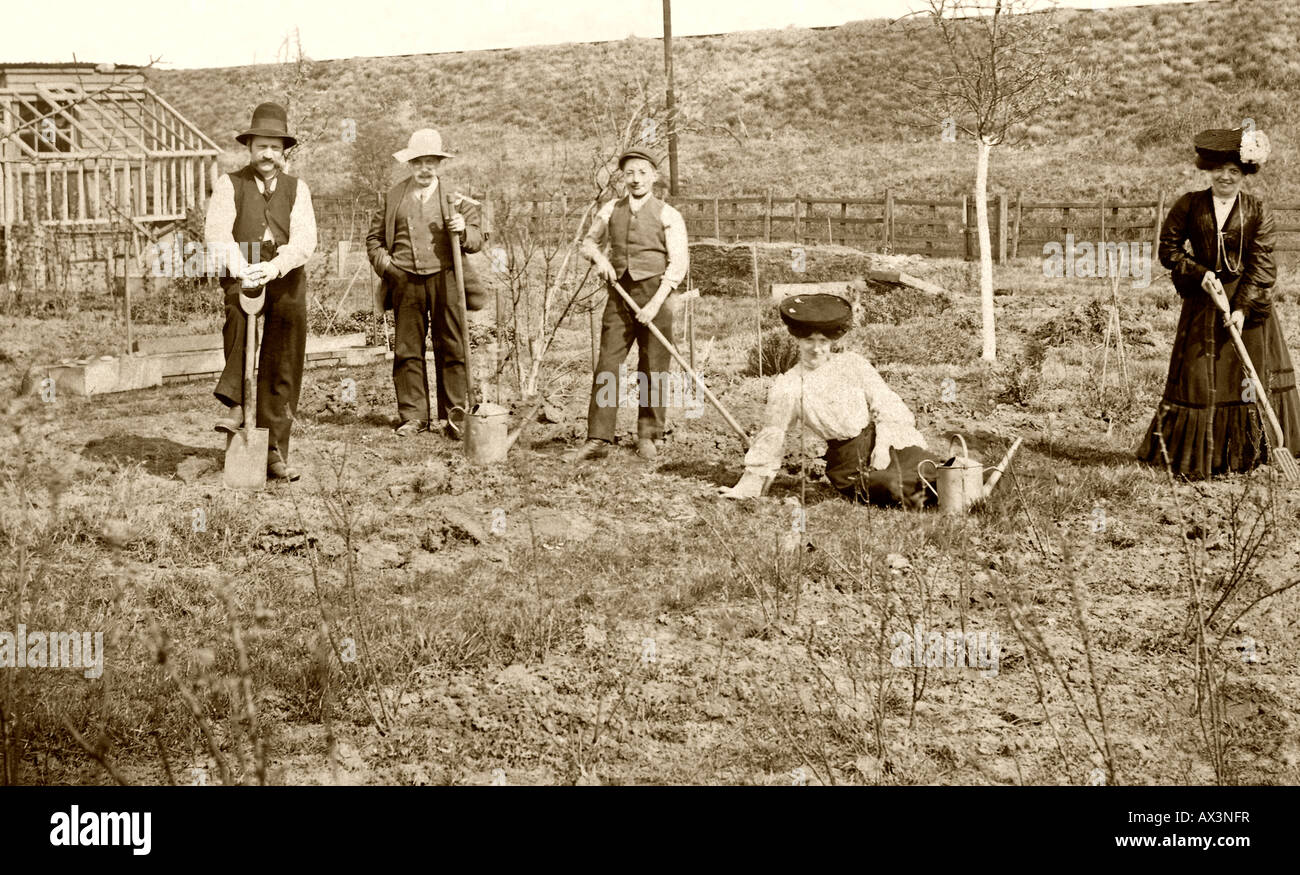 Edwardian Gärtner Bodenbearbeitung auf ihrer Zuteilung c.1900 Stockfoto