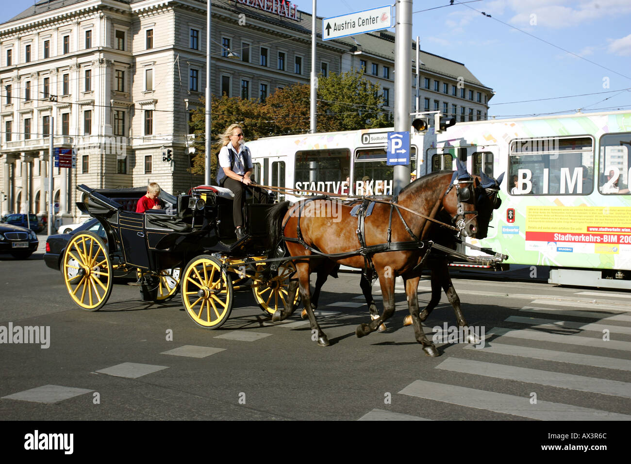 Pferd und Wagen in Wien, Österreich Stockfoto