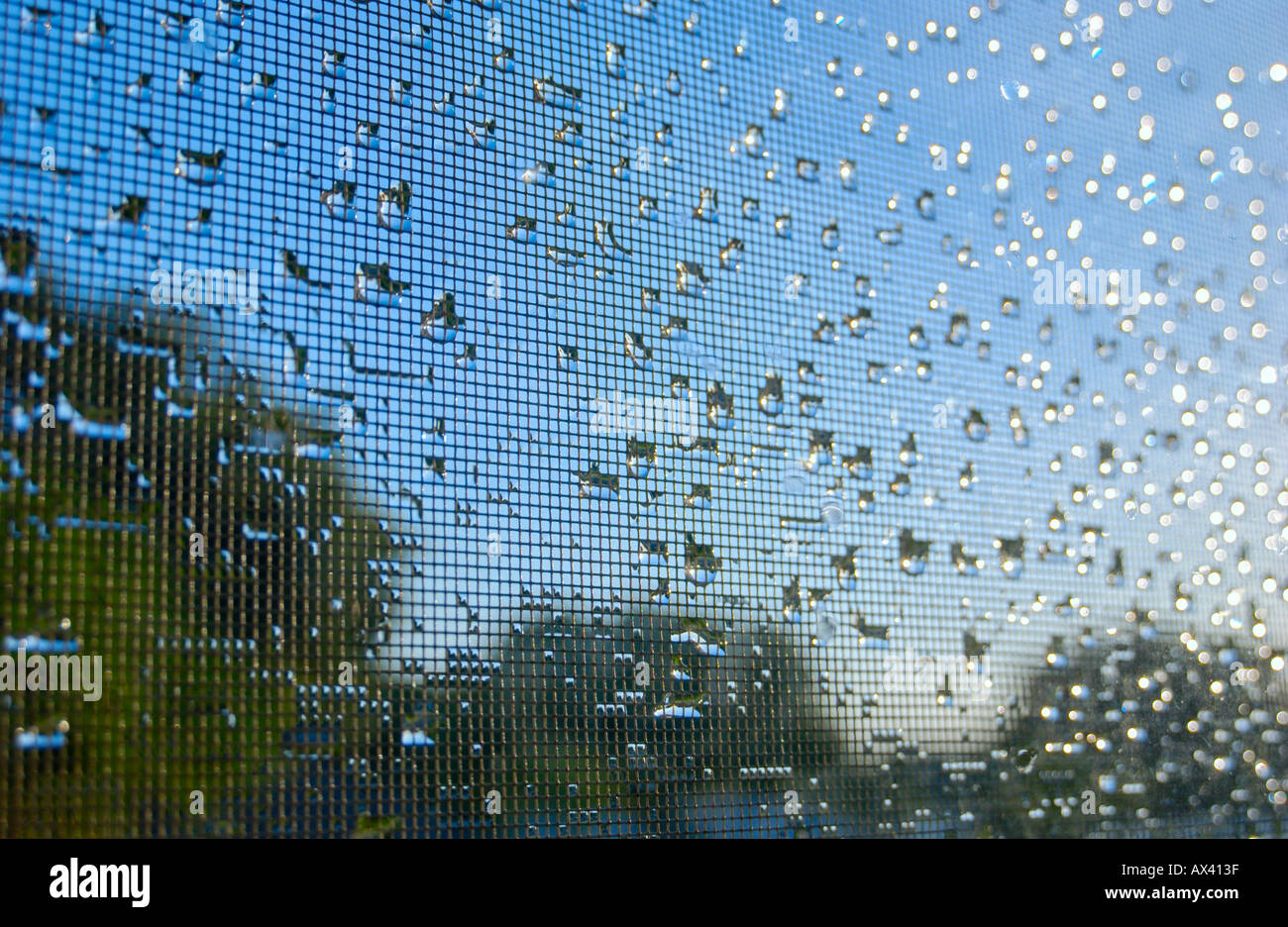 Regentropfen auf Fenster-Bildschirm bei Sonnenaufgang Stockfoto