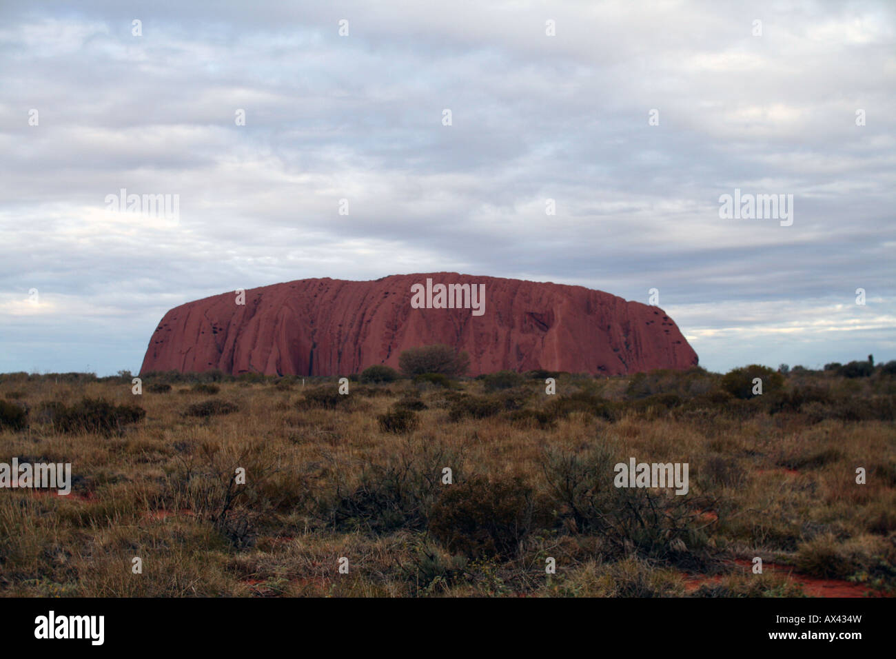 Uluru - Ayers Rock [Docker River Road, Uluru-Kata Tjuta National Park, Northern Territory, Australien, Ozeanien]. Stockfoto