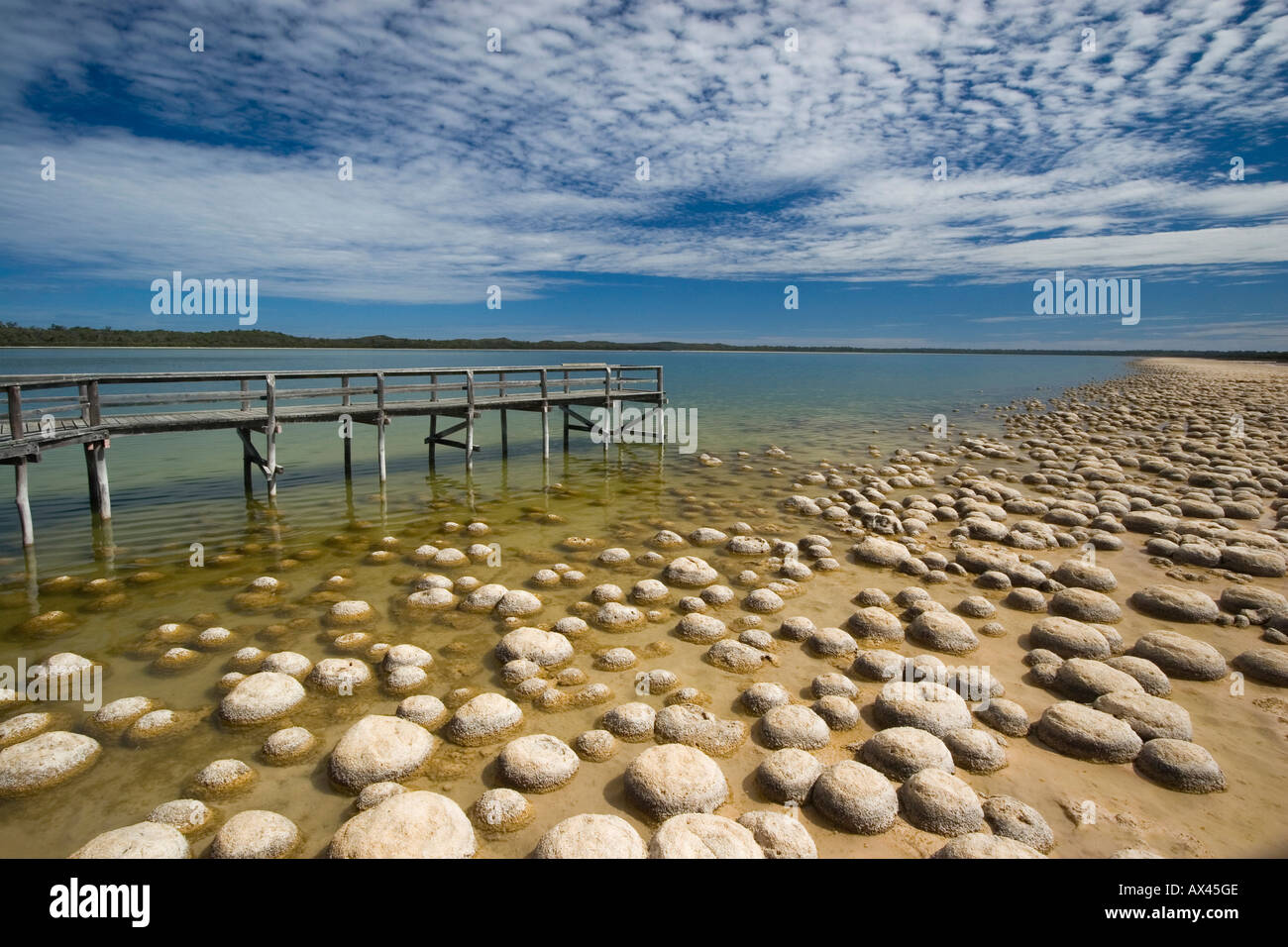 Thrombolites lake clifton Fotos und Bildmaterial in hoher Auflösung