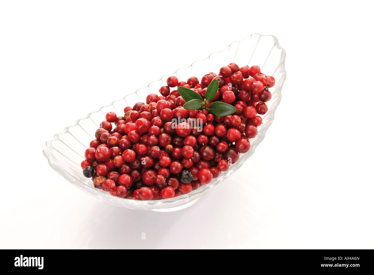 Preiselbeeren in Glasschale, Nahaufnahme Stockfoto