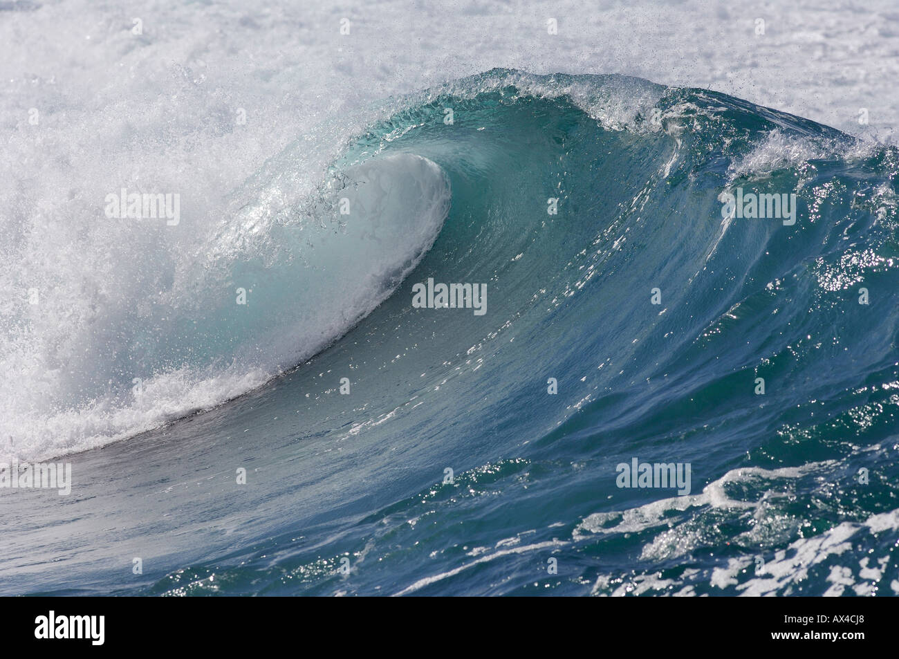 Wellen, North Shore, Oahu, Hawaii Stockfoto