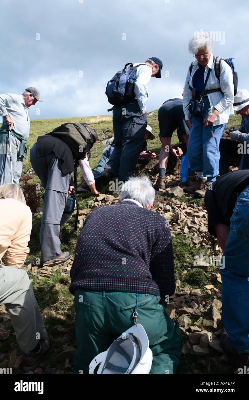 Mitglieder einer geologischen Gesellschaft auf der Suche nach Fossilien. Llandegley Felsen, Powys, Wales, UK. Stockfoto