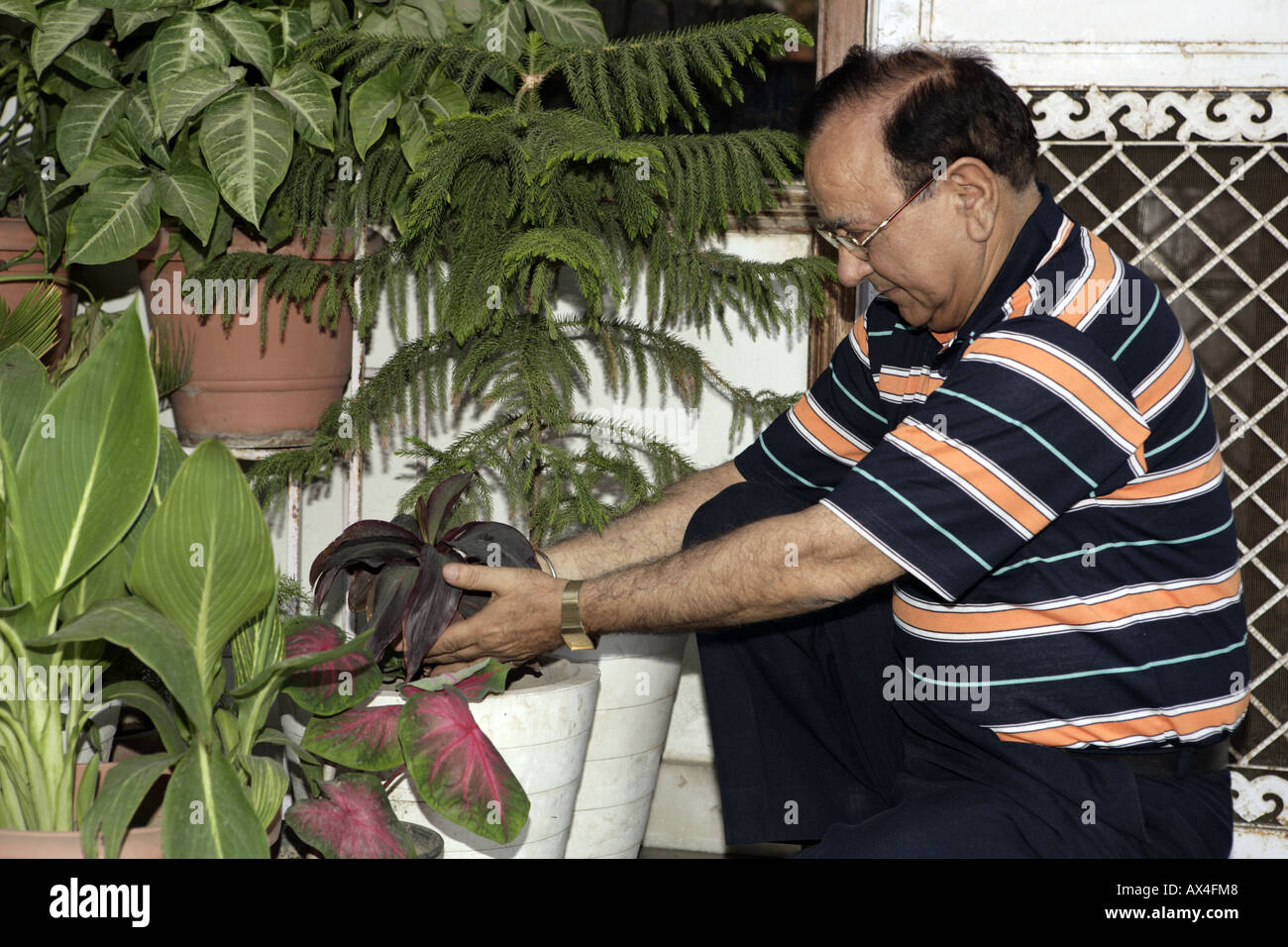 Seitenansicht eines älteren Mannes Gartenarbeit Stockfoto