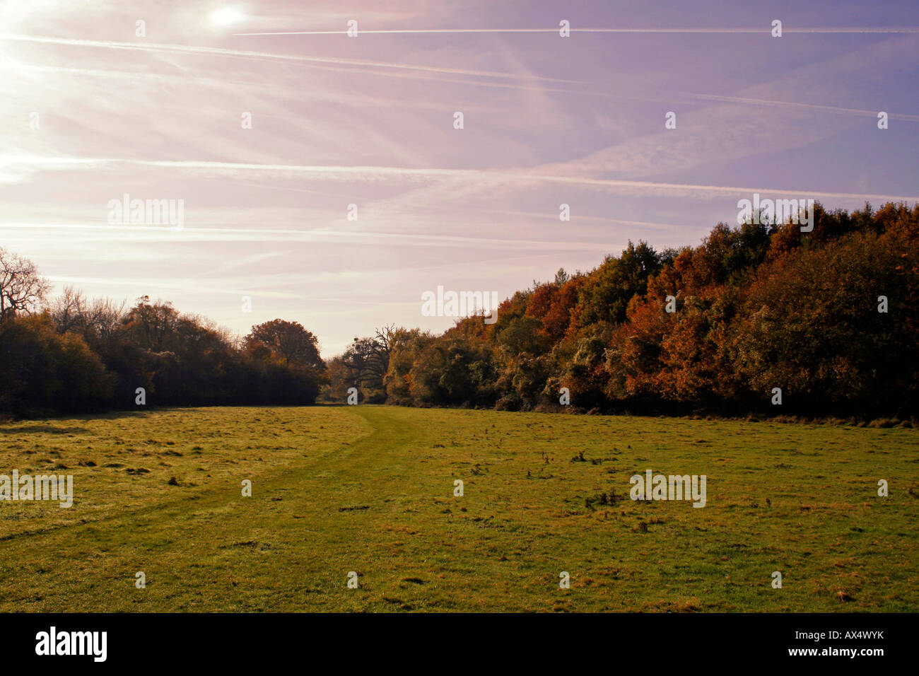 Kondensstreifen KREUZ UND QUER IM HERBST HIMMEL ÜBER DER GRAFSCHAFT ESSEX. Großbritannien Stockfoto