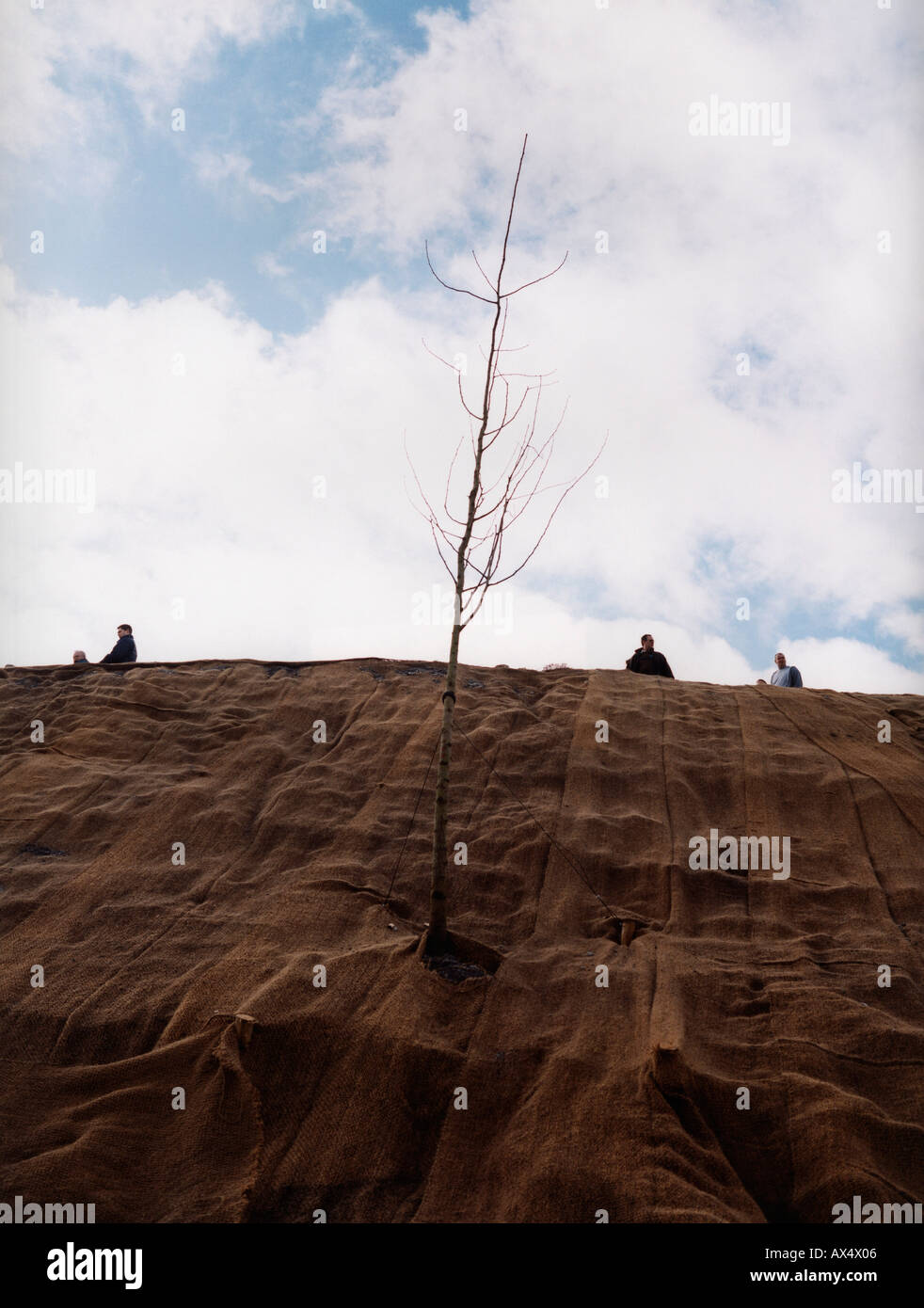 Landschaft mit Baum im Vordergrund Stockfoto